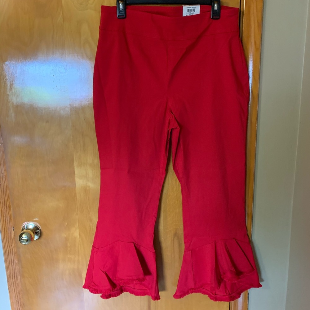 INC Capri pants